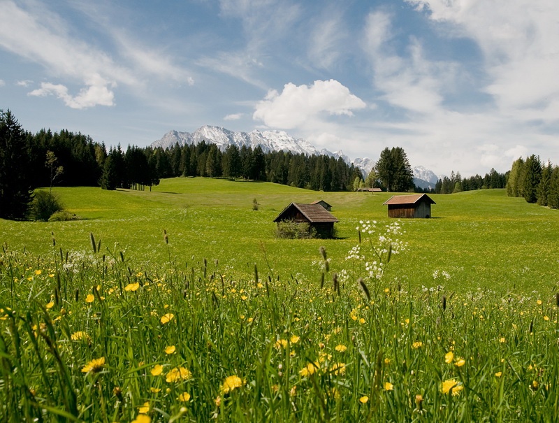LandSüdtirol D35_5022 als Smart-Objekt-1 Kopie.jpg - Blühende Wiesen und schneebedeckte Berge geben der Landschaft einen besonderen Reiz